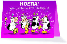 Je Digitale Verjaardag De Asociale Achtbaan
