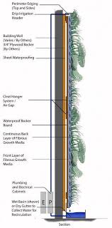 Image Result For Green Wall Section Lanskap Tanaman Taman