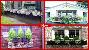 But these are some suggestions of plants to consider for each of the seasons in a sunny garden location. Best Flowers For Window Boxes In Full Sun Creative For Android Apk Download