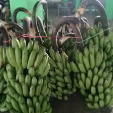 Persaingan industri kosmetik di pasar global yang sangat ketat. Jual Pisang Ambon Kuning Pasar Lelang
