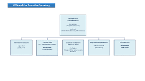 organizational chart