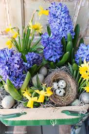 Welcome to my page about growing hyacinth and other bulbs indoor: Chalking It Up Happy Spring Blooms Home Is Where The Boat Is