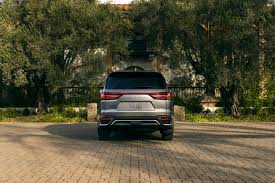 Image result for Manganese Luster 2025 LZ