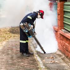 Professional Pest Control Treatment