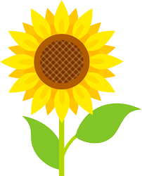 Hoa hướng dương - Hình ảnh clipart vector miễn phí trên creazilla.com