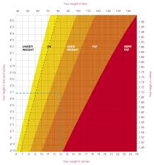 12 Actual Weight Haeight Chart Men