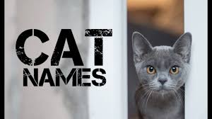 We hope you find it useful. Boy Names Starting With Jo Telugu Baby Boy Names Starting With J Superbaby You Can Narrow Down The List By Specifying Gender The First Letter Strings Included You Want