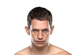 Thanh Le MMA Stats, News, Videos ,and More