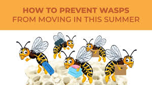 Bee or wasp stings can be lethal if you or anyone in your family is allergic to them. Preventing Wasps From Moving In This Summer Lloyd Pest Control