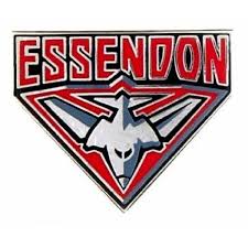 Essendon Bombers Official Afl Team Logo Lapel Tie Pin Free Post Ebay Essendon Football Club Greater Western Sydney Giants Afl