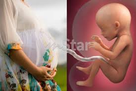 Seorang ibu adalah ibu masih, hal tersuci hidup. Gangguan Emosi Ibu Hamil Jangan Ingat Bayi Dalam Kandungan Tak Terkena Tempiasnya Semasa Mstar