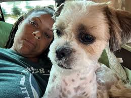 Meet Charles 🤦‍♀️ This dude needs a strong alpha energy or else he'll be  that teenager stealing your cigarettes and car keys. If you're a  structured, disciplined home, Charles will slide right