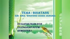 Rpph tema binatang / bebek. Tema Binatang Catatannining