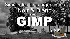 Photographie créative photographie noir et blanc mur photo idée photo photographie en perspective photo rigolote photo famille photo artistique mise en scène. Simuler Les Films Argentiques Noir Et Blanc Avec Gimp Tutoriel Gimp Youtube