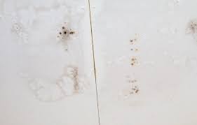 Microscopic mold spores can remain unseen in the pores of the drywall, even when the drywall appears free of mold. Why Is There Black Mold On My Bathroom Ceiling Superior Restoration