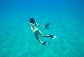 The 10 best snorkeling spots in the world africa by haydenhuston on november 6, 2016 add comment adventure travel africa asia caribbean central america ecuador grenada indonesia japan leisure travel mozambique philippines regions saint vincent and the grenadines south africa south america speciality travel 220 views 10 Best Places To Snorkel In The World