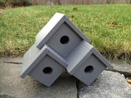 Epingle Sur Chien Et Oiseau