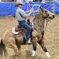 Black Hills Stock Show