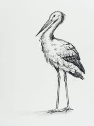 This Is A Stork That I Drew With Charcoal To Create My Baby Shower Invites Animal Drawings Photo And Video Instagram Photo