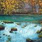 Impasto Oil Painting with Tricia Courtney event image
