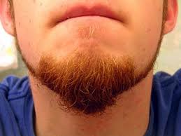 Find great deals on ebay for goatee beard. Goatee Wikipedia