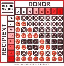 Blood Type Donor Chart Jasonkellyphoto Co