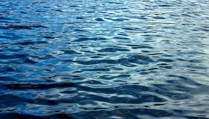 FUNCION DEL AGUA DULCE