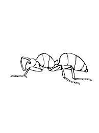 Ants are part of the scientific phylum known as arthropods. Free Ant Coloring Pages For Kids Everyday We Must Have Met This One Small Animal Yes Ants Are A T Coloring Pages For Kids Lego Coloring Pages Coloring Pages