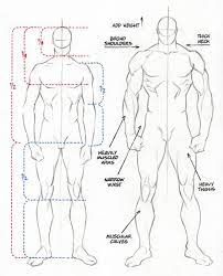 Reproductive system diagram male anatomy side view and diagram. Character Anatomy Male