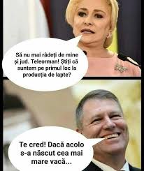 Pin By Anisia Bursuc On Meme Uri Fumate Funny Funny Memes Memes