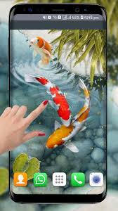 Koi fish animated wallpaper features amazing hd video live wallpaper to personalise your phone. Fish Live Wallpaper Free Koi Fish Backgrounds Hd For Android Download Cafe Bazaar