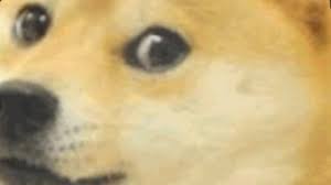 Windows, android, ios and many others. 67 Doge Wallpaper 1920 1080