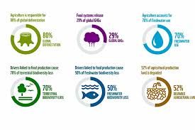 Review this trend, which has major negative consequences for land and water use and environmental change. The Environmental Impact Of 2020 Nature Is Not Healing Plan A Academy