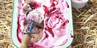 Low calorie homemade fruit ice cream. Ice Cream Maker Recipes And Tips Bbc Good Food