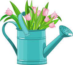 Web Development Spring Clipart Flower Clipart Clip Art