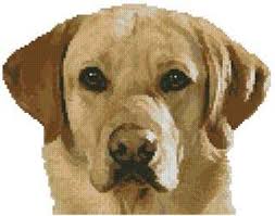 Cross stitch kit featuring a portrait of a black labrador retriever dog! Mini Golden Labrador Cross Stitch Pattern