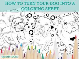 Plus, it's an easy way to celebrate each season or special holidays. How To Turn Your Dog Into A Coloring Page Kol S Notes