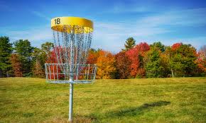 Image result for disc golf