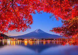 Autumn leaves autumn leaf color, falling leaves, dried maple leaves, watercolor leaves, leaf png. Fall Colors In Japan 2021 Best 8 Spots To See Japanese Maple Leaves And When To Visit Live Japan Travel Guide