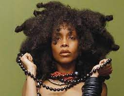 Famous Black African American Female Singers With Natural Hair Natural Hair Styles African American Hairstyles Hair Styles