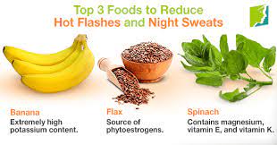 Top 3 Foods To Reduce Hot Flashes And Night Sweats | Menopause Now