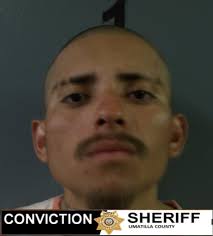 CONVICTION NOTICE: In cooperation with the Umatilla County District  Attorney's Office. Macli P Hernandez Ramos (23) Hermiston Count number 1,  Unlawful Use of a Weapon, 166.220, Misdemeanor Class A, a lesser included