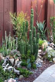 43 Gorgeous Cactus To Grow Ideas For Your Garden Succulent Landscape Design Cactus Garden Design Succulent Landscaping