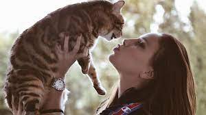 Tímea vajna was born on november 30, 1982 in miskolc, hungary. Vajna Timea Lassan Gyereket Szeretne Emiatt Posztolt 15 Szor A Macskajarol Egy Nap Alatt 24 Hu