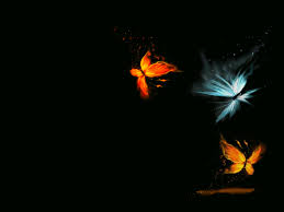 We did not find results for: Butterfly Hd Wallpapers
