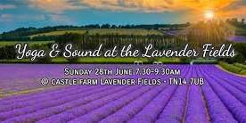 Lavender Fields Sound Experience