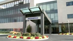 May 28, 2021 · pharmaceuticals u.s. Regeneron Roche S Covid 19 Antibody Cocktail Could Snare 6b In Sales Next Year Analyst Fiercepharma