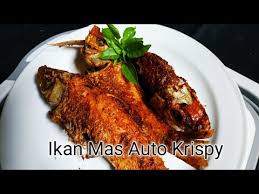 Bagi para pemula yang baru belajar memasak atau jarang ke dapur, ikan adalah bahan yang paling dihindari. Banyak Yang Belum Tau Masak Ikan Seperti Ini Teryata Enak Ikan Mas Goreng Youtube