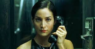 Joe Schuler's Instagram, Twitter & Facebook