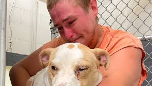 Fundraiser by Kerry Garvin : Please Help Save Molly and Michael!